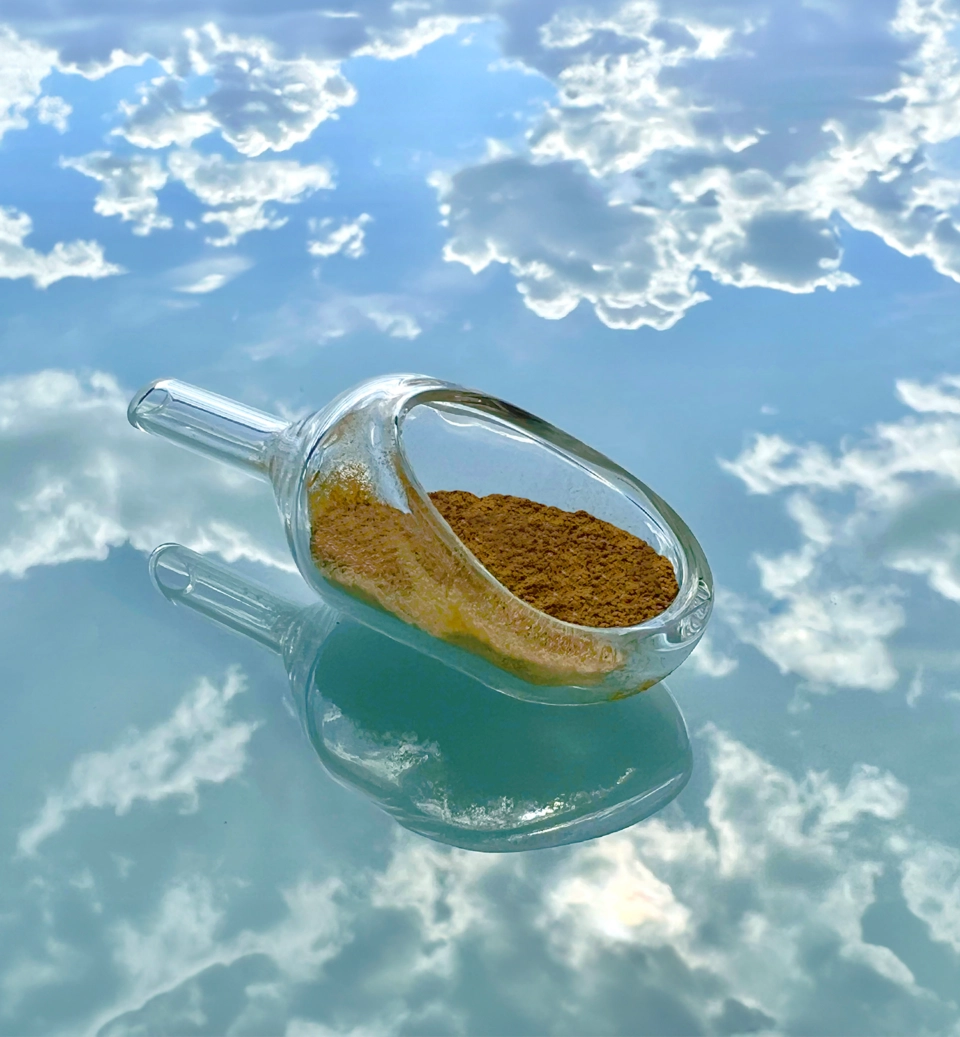 Sabot de verre contenant de la poudre jaune d'acide anthranilique biosourcé