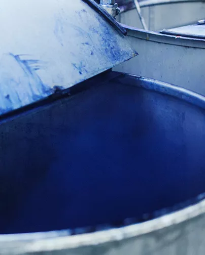 Cuve en inox contenant de la poudre d'indigo