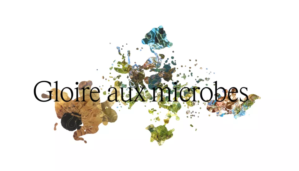 Visuel représentant Gloire aux Microbes